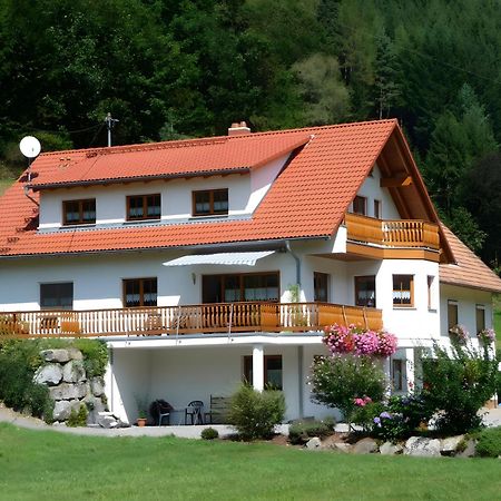 Апартаменты Haus Sum Oberwolfach Экстерьер фото