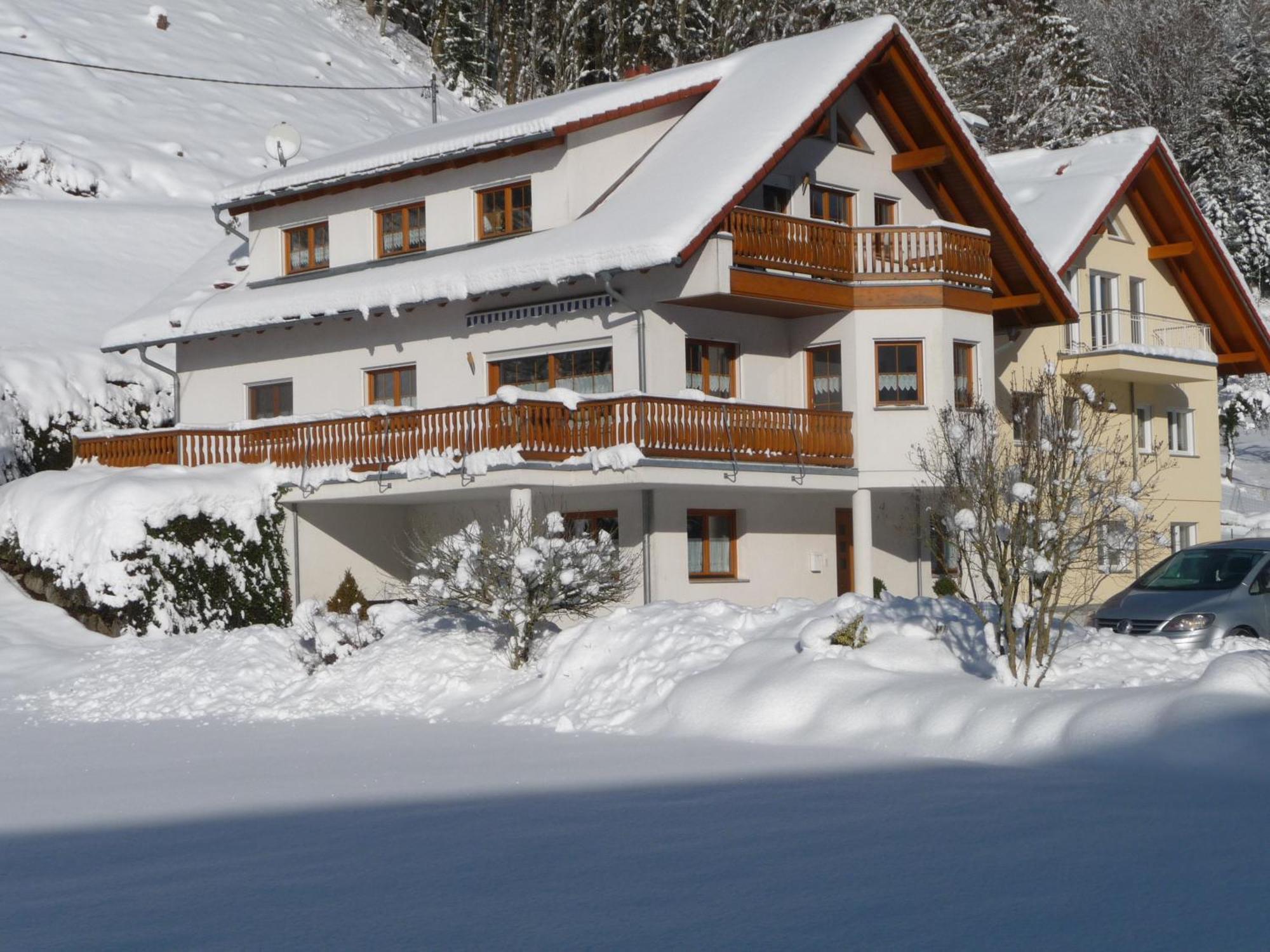 Апартаменты Haus Sum Oberwolfach Экстерьер фото